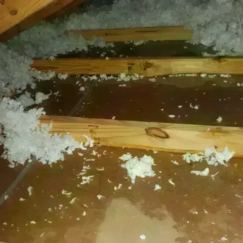 Attic Water Damage in Van Horn, TX