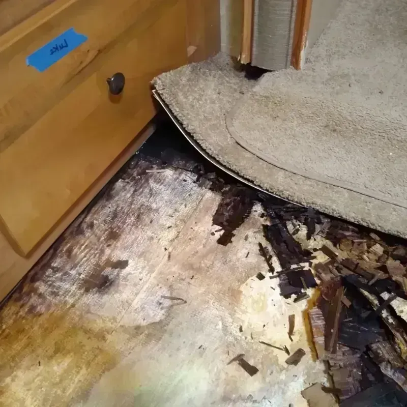 Wood Floor Water Damage in Van Horn, TX